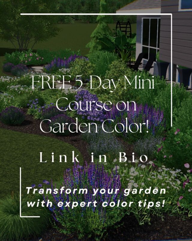 🌸 Transform Your Garden in Just 5 Days! 🌿

Calling all busy professionals! Imagine a vibrant, low-maintenance garden that brings joy without the overwhelm. Our FREE 5-Day Mini Course is here to guide you step-by-step to create the outdoor oasis of your dreams.

✨ What you’ll learn:
🌼 Time-saving garden design tips
🌿 How to choose easy-care plants
⏰ Simple strategies to keep your garden beautiful year-round

Whether you’re a seasoned gardener or just starting out, this course is designed to fit into your schedule and help you create a garden that works as hard as you do.

📖 Sign up now and take the first step toward your dream garden: [Link in bio]

Tag a friend who would love this, and let’s grow something beautiful together! 🌸
#LowMaintenanceGarden #GardenGoals #BusyLifeGardening #FrenchPetalGardens