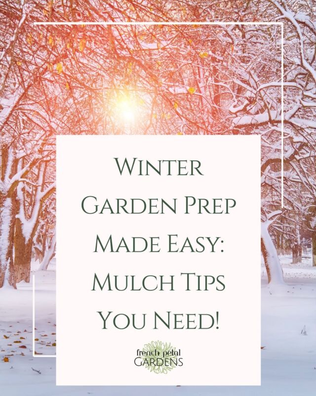 Snow on the ground? ❄️ Don’t let your garden go dormant! Our latest blog post is here to help you prepare your garden for the season ahead.
🌱 Learn how to:
✅ Use mulch to protect plants from frost.
✅ Prevent weeds from taking over in spring.
✅ Keep your soil healthy through the winter.
🍂 Winter garden prep doesn’t have to be hard. Get all the tips you need—link in bio!
#WinterGardening #MulchTips